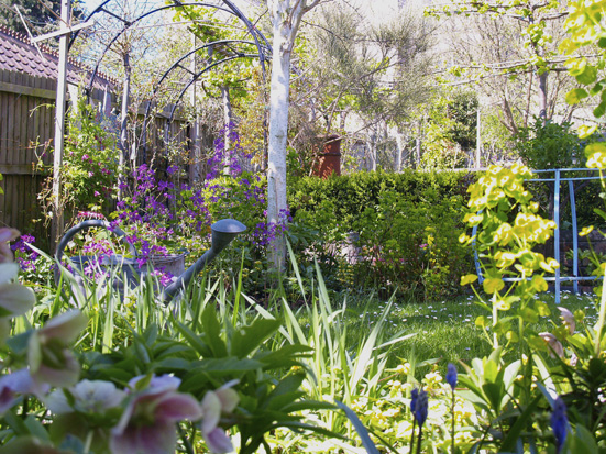 See My Garden